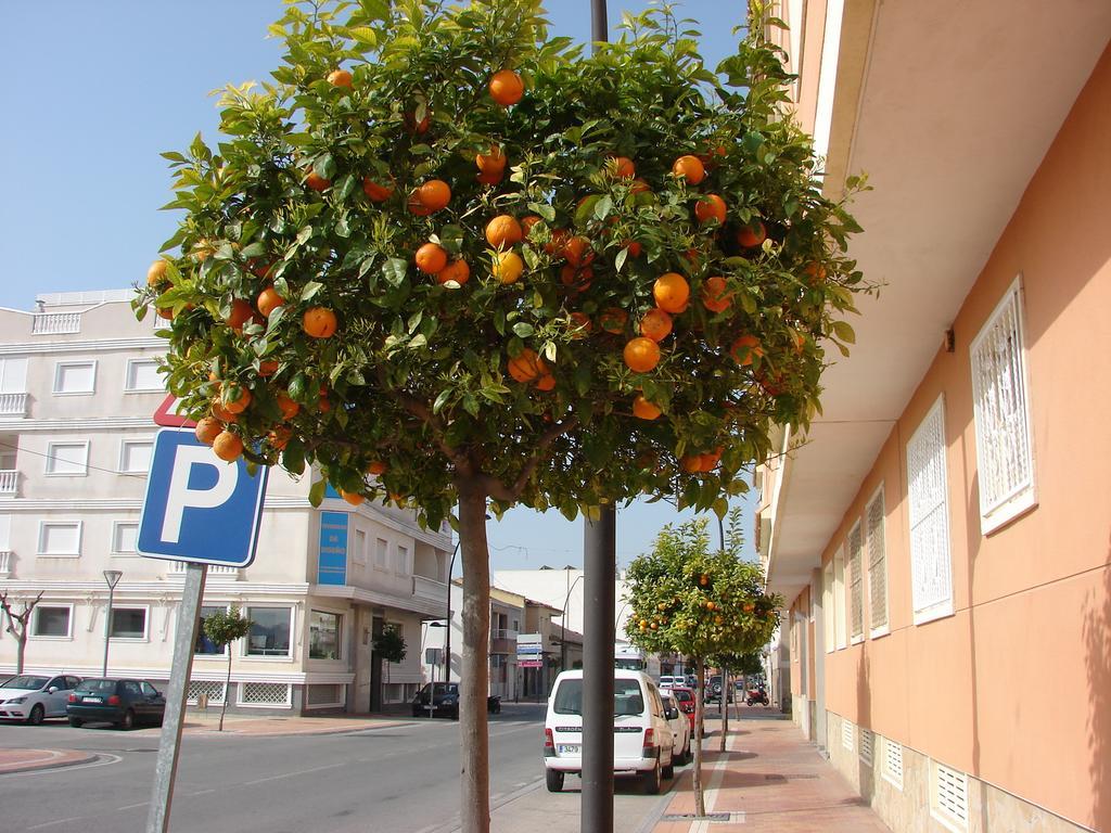 Apartament Apartamento Formentera Formentera de Segura Zewnętrze zdjęcie